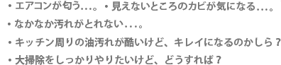 エアコンが匂う。見えないところのカビが気になる。なかなか汚れがとれない。キッチン周りの油汚れが酷いけど、キレイになるのかしら？大掃除をしっかりやりたいけど、どうすれば？