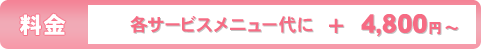 料金：各サービスメニューに＋8,400円～